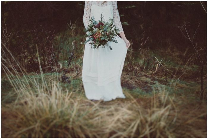 Piante e fiori invernali, bosco umbro