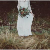 Piante e fiori invernali, bosco umbro