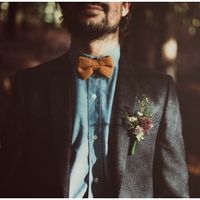 Piante e fiori invernali