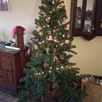 Avete mai fatto l'albero insieme? - 1