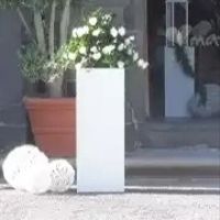 Consiglio addobbo floreale - 1