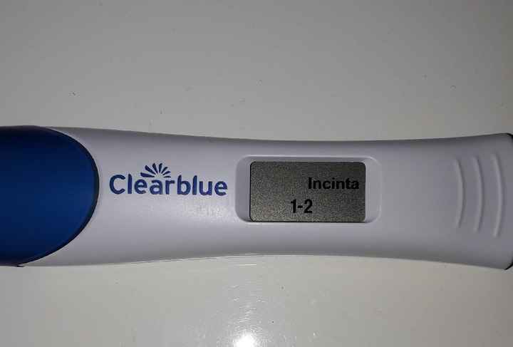 Cicogna in arrivo.🤰 - 1