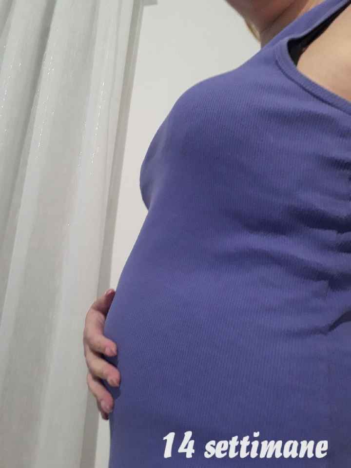 Chi come me è a al 4 mese di gravidanza?🤰 - 1
