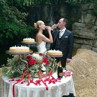 Millefoglie non vogliamo lo zucchero a velo come copertura - 1