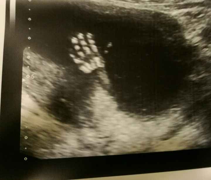 Future mamma settembre 2019 - 1