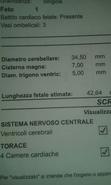 Valutazione biometrica fetale 3