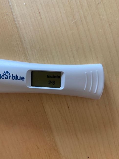 Aiuto, ora cosa faccio??? - 1