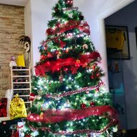 Avete mai fatto l'albero insieme? - 1