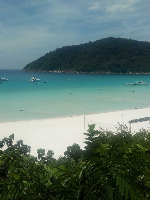 Estensione mare: Koh tao o redang? - 1