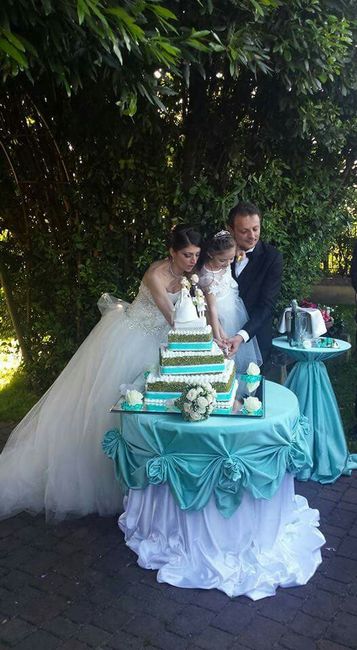 Sos tema con colore tiffany - 2