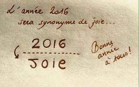 2016.. l'anno della gioia... - 1