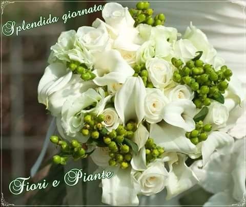 Stile matrimonio shabby chic - 2