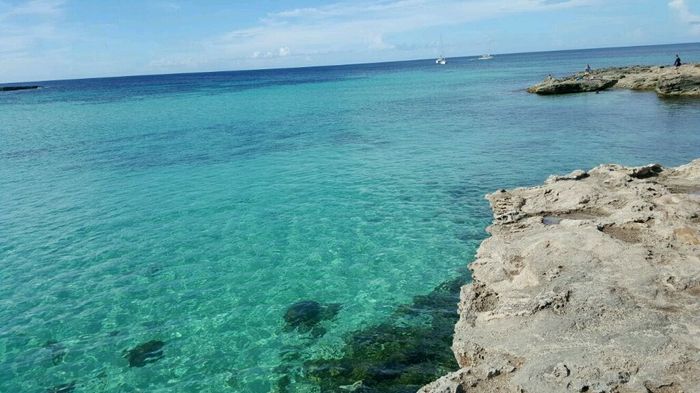Vacanze, le ultime... - 2
