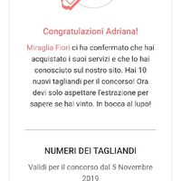 81° edizione concorso - 3