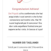 81° edizione concorso - 6