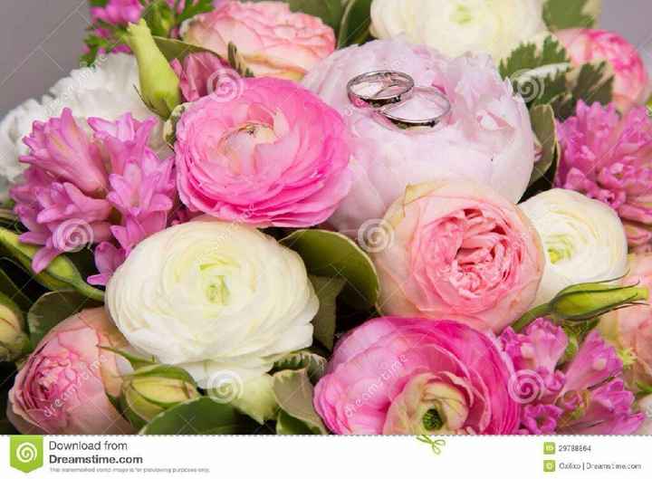 Scelta del colore dei fiori - 1