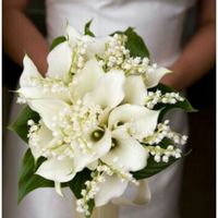 Preventivo Fiori - 3