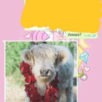 Condividi lo screenshot dell'ultimo messaggio che vi siete inviati - 1