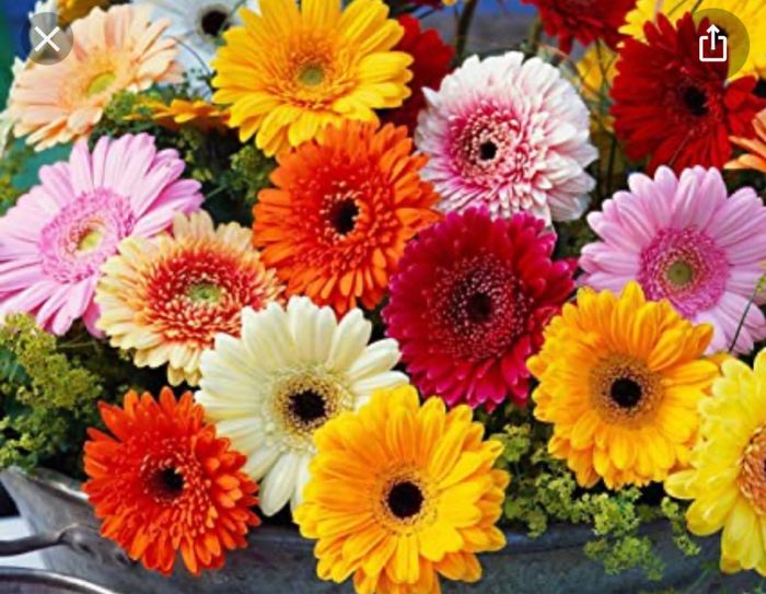 -38! Sensazioni post fine organizzazione! 3