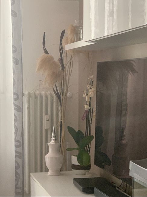 Allestimento country 2