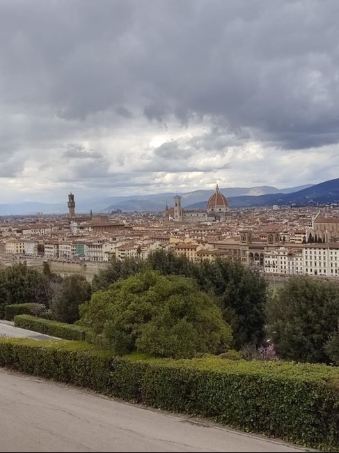 Il mio addio al nubilato 7