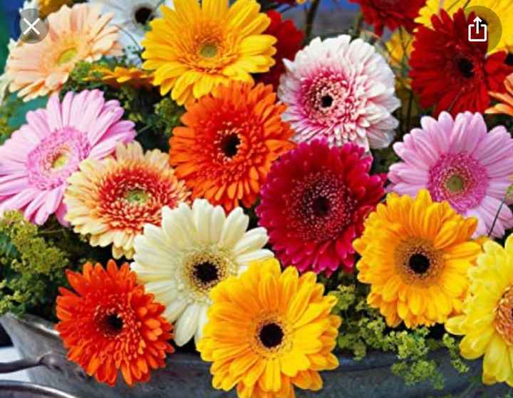 -38! Sensazioni post fine organizzazione! - 1