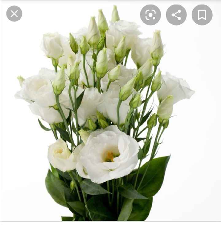 Parliamo di fiori? - 1