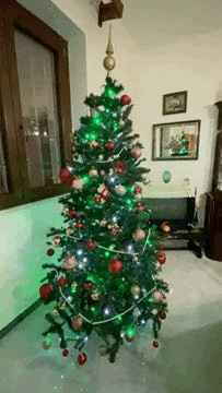 Avete mai fatto l'albero insieme? - 1
