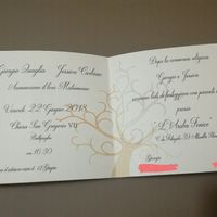 Finalmente partecipazioni - 2