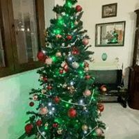 Avete mai fatto l'albero insieme? - 1