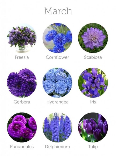 Dodici mesi di fiori 3