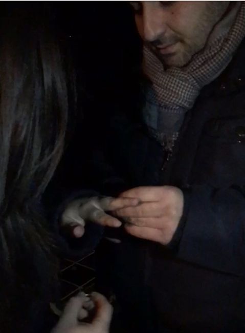 Proposta arrivata .... forti emozioni...!!! - 1