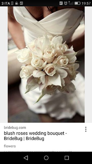  Il mio bouquet lo vorrei cosi.... - 1