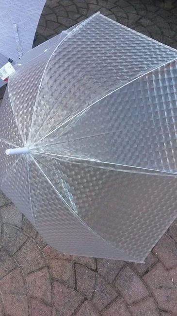 Finalmente regina e re!!! - 6