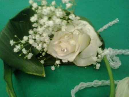 fiori 
