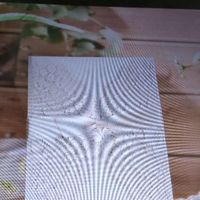 Fai da te  promessa di matrimonio!! - 7