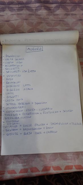 Necessario x weekend fuori con neonata - 1