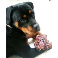 I nostri cuccioli - 4