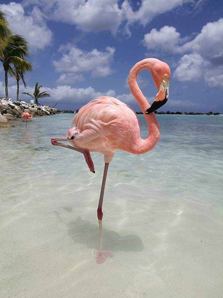 i nostri viaggi 🌍❤️ - 4