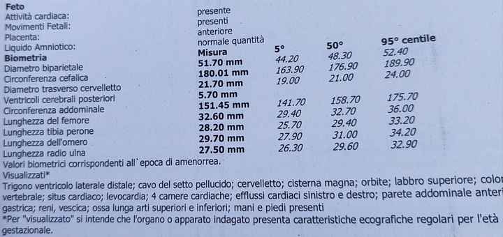 Future mamme ottobre 2024 - nuovo gruppo - 1