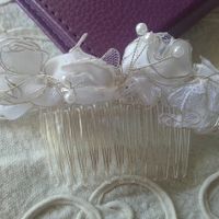 Ladispoli Cerveteri e dintorni - 1