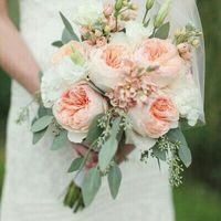 Quali fiori mi consigliate? - 1