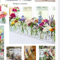 Ricerca di vasetti - 1