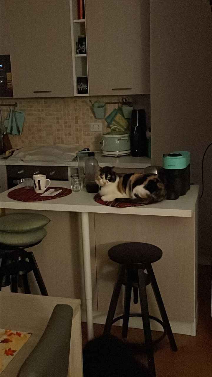 Chi dei due prepara la colazione? - 1