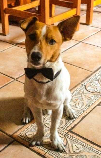 Oggi vi presento i nostri "mimmi" :) - 1