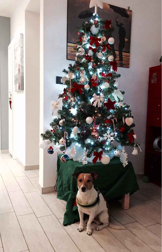 It's christmas time! mi fate vedere i vostri alberelli? - 1