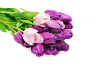 Bouquet sposa tulipani colorati