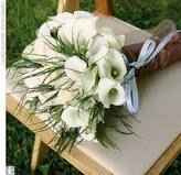 Bouquet di piccole calle bianche