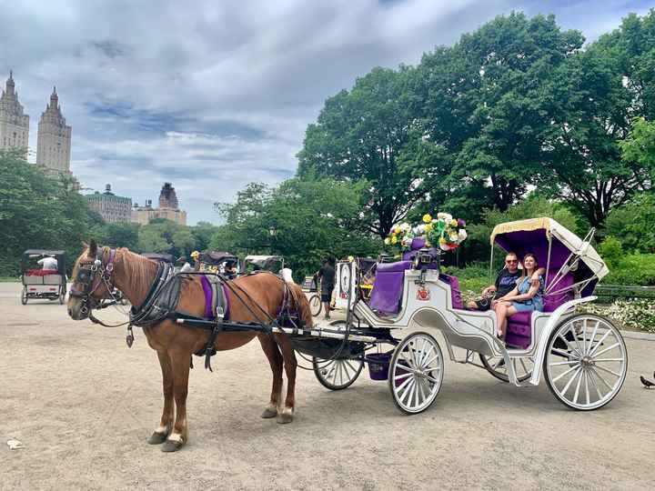Proposta di matrimonio 💍 - 2