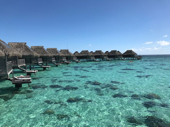 Bora bora o moorea 1